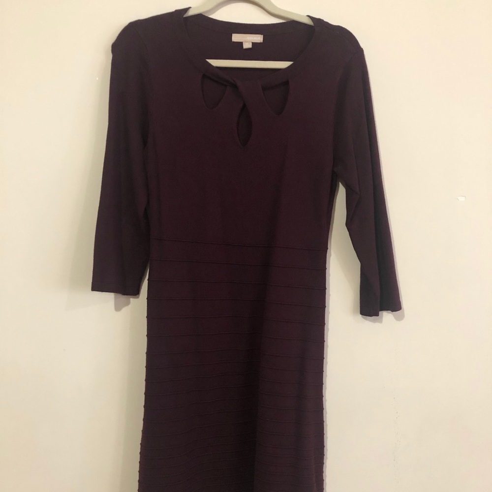 Maroon Sweater Dress